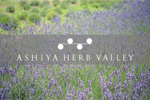 ashiyaherb menu 600