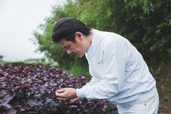 organic menu 600